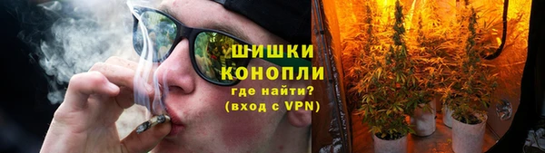 сатива Богданович