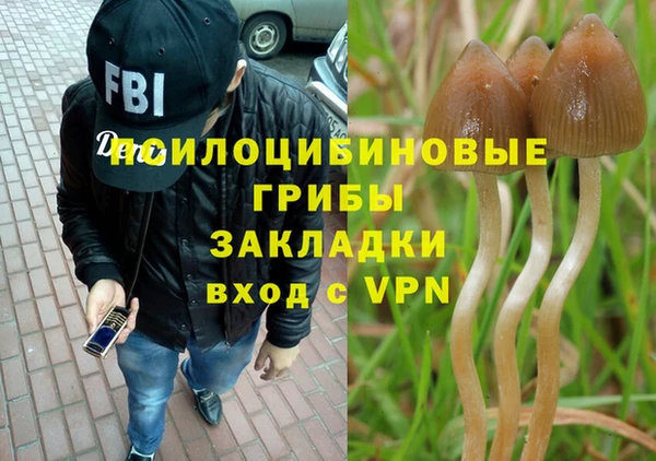 твердый Вяземский