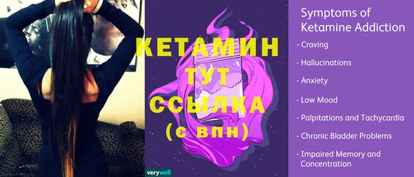 сатива Богданович